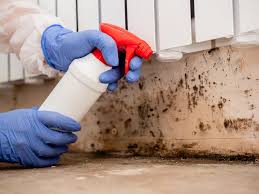 Environmental Consulting for Mold Prevention in Murphy, MO